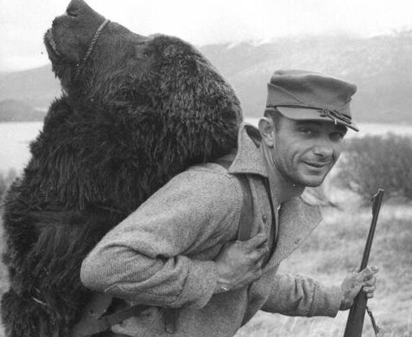 477px-Bear_hunting_Kodiak_F